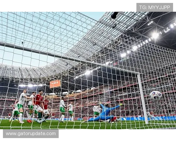 匈牙利世界杯回忆：辉煌历史与激情瞬间的表现描述分析