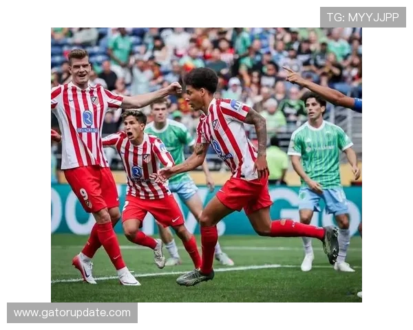 塔利亚菲科世界杯高光表现稳健，防守端发挥稳定备受关注