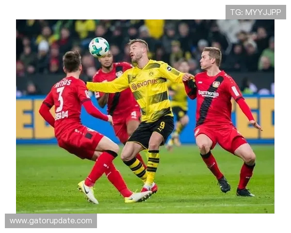 博尼法斯身体对抗能力与本赛季表现分析